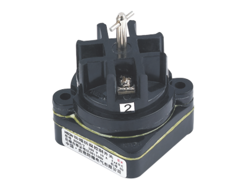 8008/2-Series Explosion-proof Control Switches
